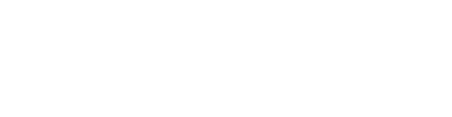Vinci